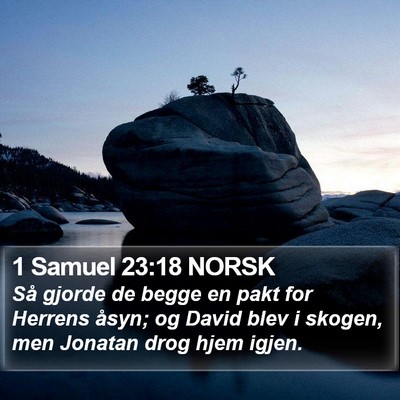 1 Samuel 23:18 NORSK Bible Verse Image