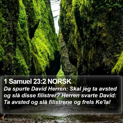 1 Samuel 23:2 NORSK Bible Verse Image