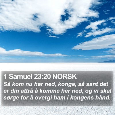 1 Samuel 23:20 NORSK Bible Verse Image