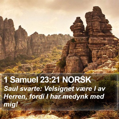 1 Samuel 23:21 NORSK Bible Verse Image