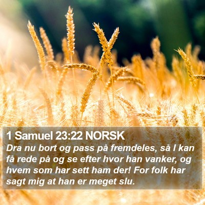 1 Samuel 23:22 NORSK Bible Verse Image
