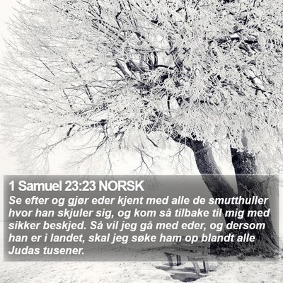 1 Samuel 23:23 NORSK Bible Verse Image