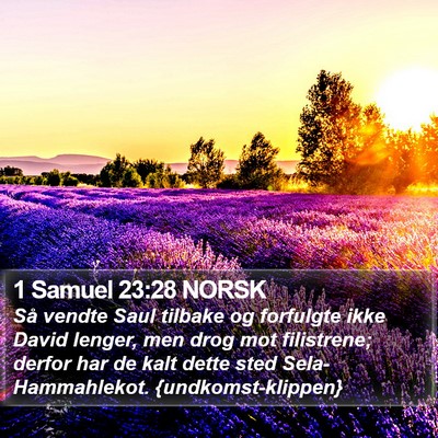 1 Samuel 23:28 NORSK Bible Verse Image