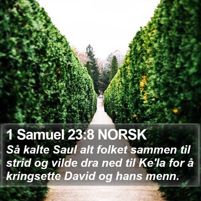 1 Samuel 23:8 NORSK Bible Verse Image