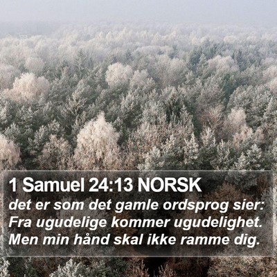 1 Samuel 24:13 NORSK Bible Verse Image