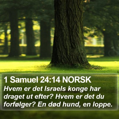 1 Samuel 24:14 NORSK Bible Verse Image