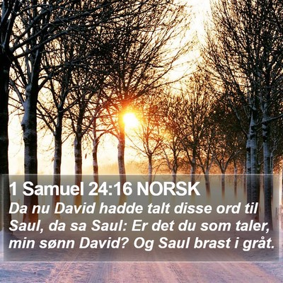 1 Samuel 24:16 NORSK Bible Verse Image