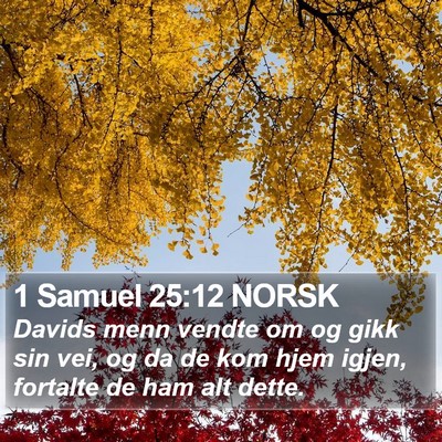 1 Samuel 25:12 NORSK Bible Verse Image