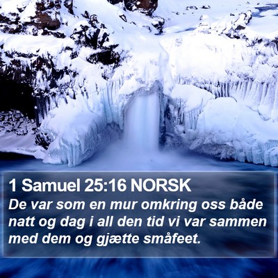 1 Samuel 25:16 NORSK Bible Verse Image
