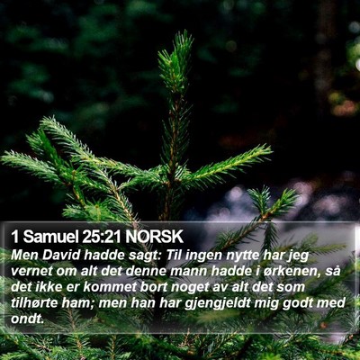 1 Samuel 25:21 NORSK Bible Verse Image