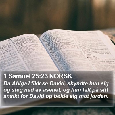 1 Samuel 25:23 NORSK Bible Verse Image