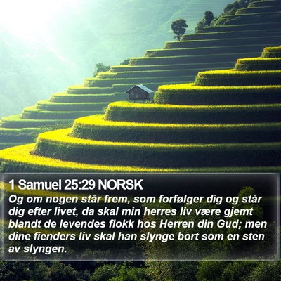 1 Samuel 25:29 NORSK Bible Verse Image