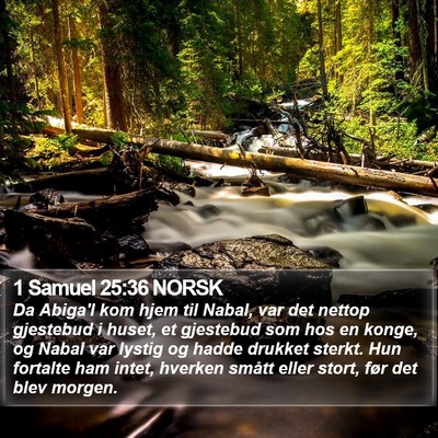 1 Samuel 25:36 NORSK Bible Verse Image