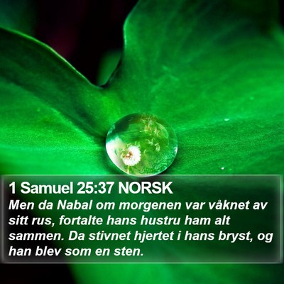 1 Samuel 25:37 NORSK Bible Verse Image