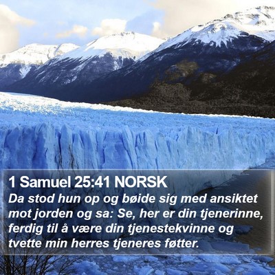 1 Samuel 25:41 NORSK Bible Verse Image