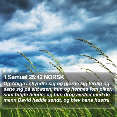 1 Samuel 25:42 NORSK Bible Verse Image