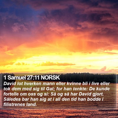 1 Samuel 27:11 NORSK Bible Verse Image