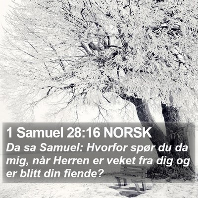1 Samuel 28:16 NORSK Bible Verse Image