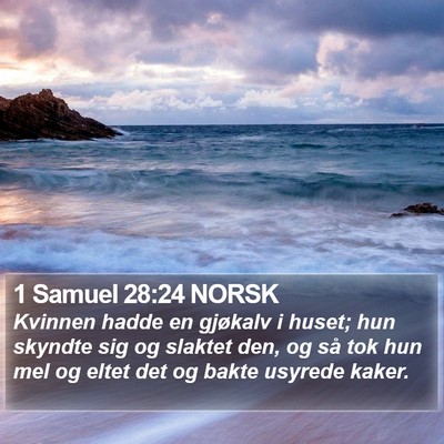 1 Samuel 28:24 NORSK Bible Verse Image
