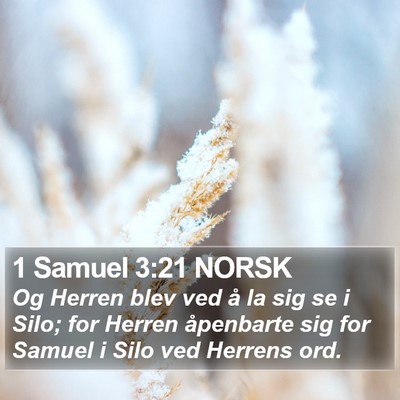 1 Samuel 3:21 NORSK Bible Verse Image