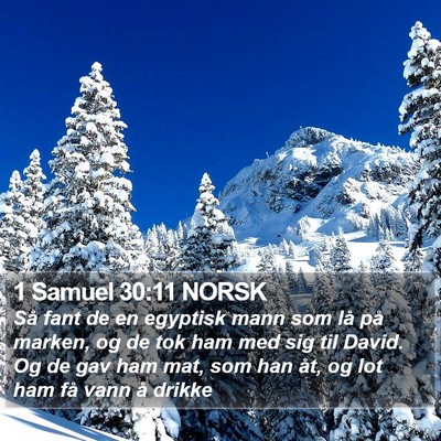 1 Samuel 30:11 NORSK Bible Verse Image