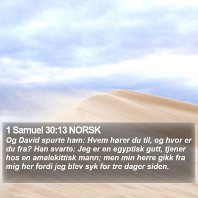 1 Samuel 30:13 NORSK Bible Verse Image