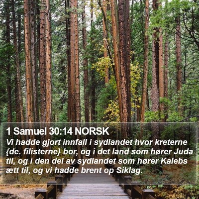1 Samuel 30:14 NORSK Bible Verse Image