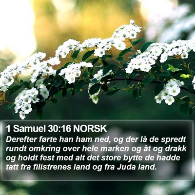 1 Samuel 30:16 NORSK Bible Verse Image