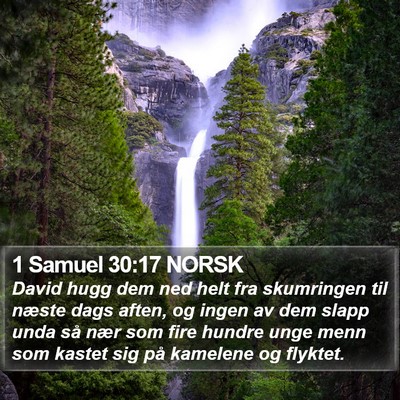 1 Samuel 30:17 NORSK Bible Verse Image