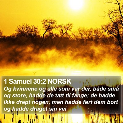 1 Samuel 30:2 NORSK Bible Verse Image