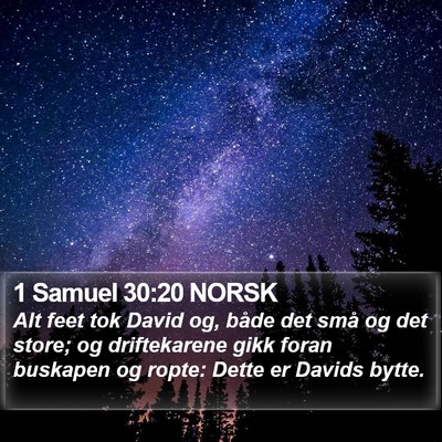 1 Samuel 30:20 NORSK Bible Verse Image
