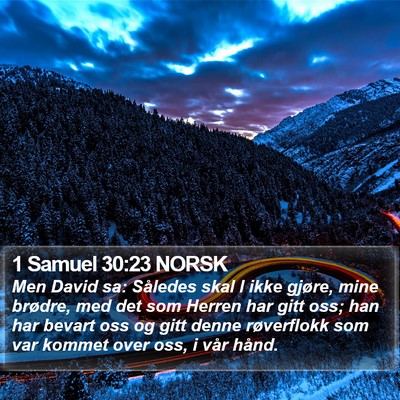 1 Samuel 30:23 NORSK Bible Verse Image