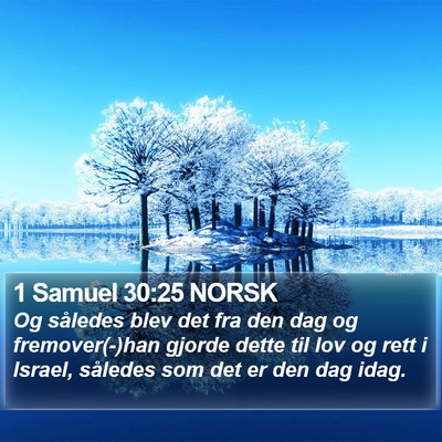 1 Samuel 30:25 NORSK Bible Verse Image