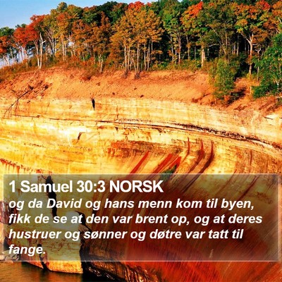 1 Samuel 30:3 NORSK Bible Verse Image