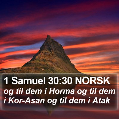1 Samuel 30:30 NORSK Bible Verse Image