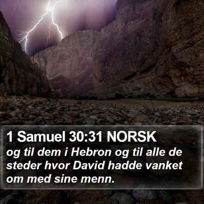 1 Samuel 30:31 NORSK Bible Verse Image