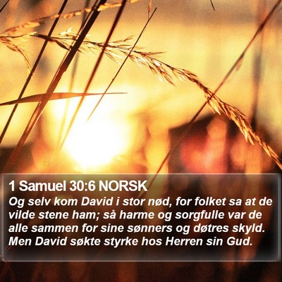 1 Samuel 30:6 NORSK Bible Verse Image