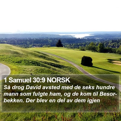 1 Samuel 30:9 NORSK Bible Verse Image