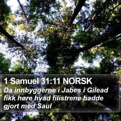 1 Samuel 31:11 NORSK Bible Verse Image