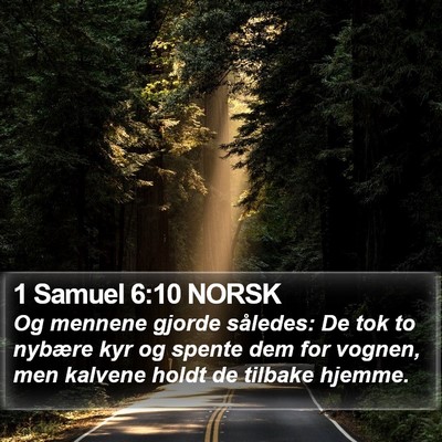 1 Samuel 6:10 NORSK Bible Verse Image