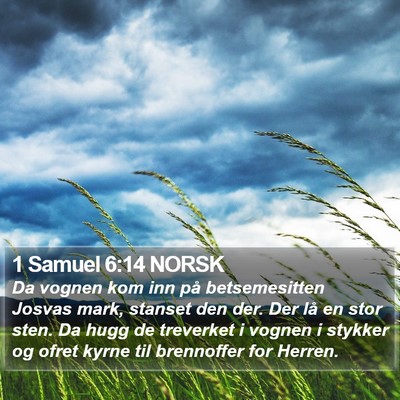 1 Samuel 6:14 NORSK Bible Verse Image