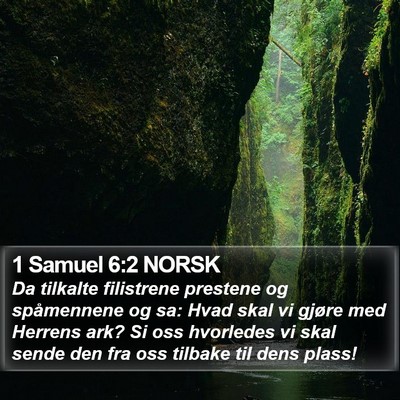 1 Samuel 6:2 NORSK Bible Verse Image