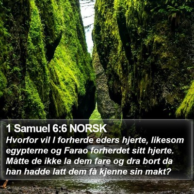 1 Samuel 6:6 NORSK Bible Verse Image