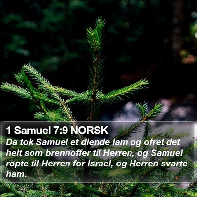 1 Samuel 7:9 NORSK Bible Verse Image