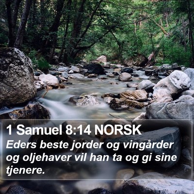 1 Samuel 8:14 NORSK Bible Verse Image