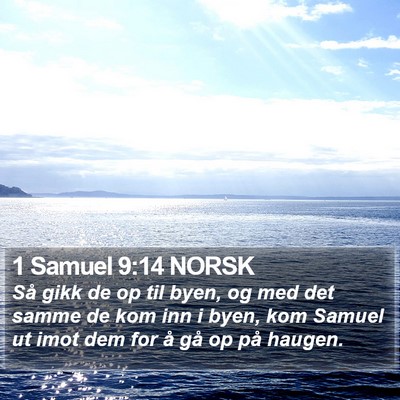 1 Samuel 9:14 NORSK Bible Verse Image