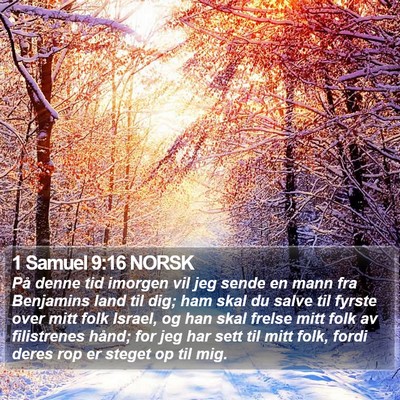 1 Samuel 9:16 NORSK Bible Verse Image