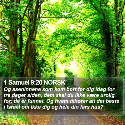 1 Samuel 9:20 NORSK Bible Verse Image