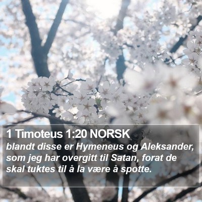 1 Timoteus 1:20 NORSK Bible Verse Image
