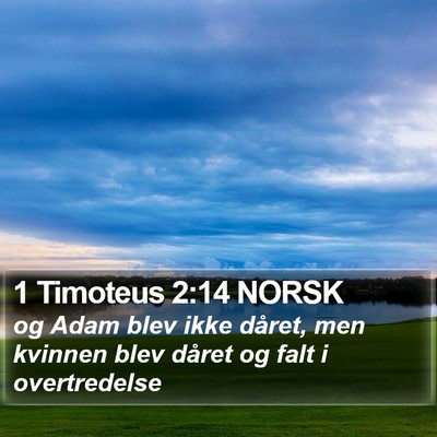 1 Timoteus 2:14 NORSK Bible Verse Image